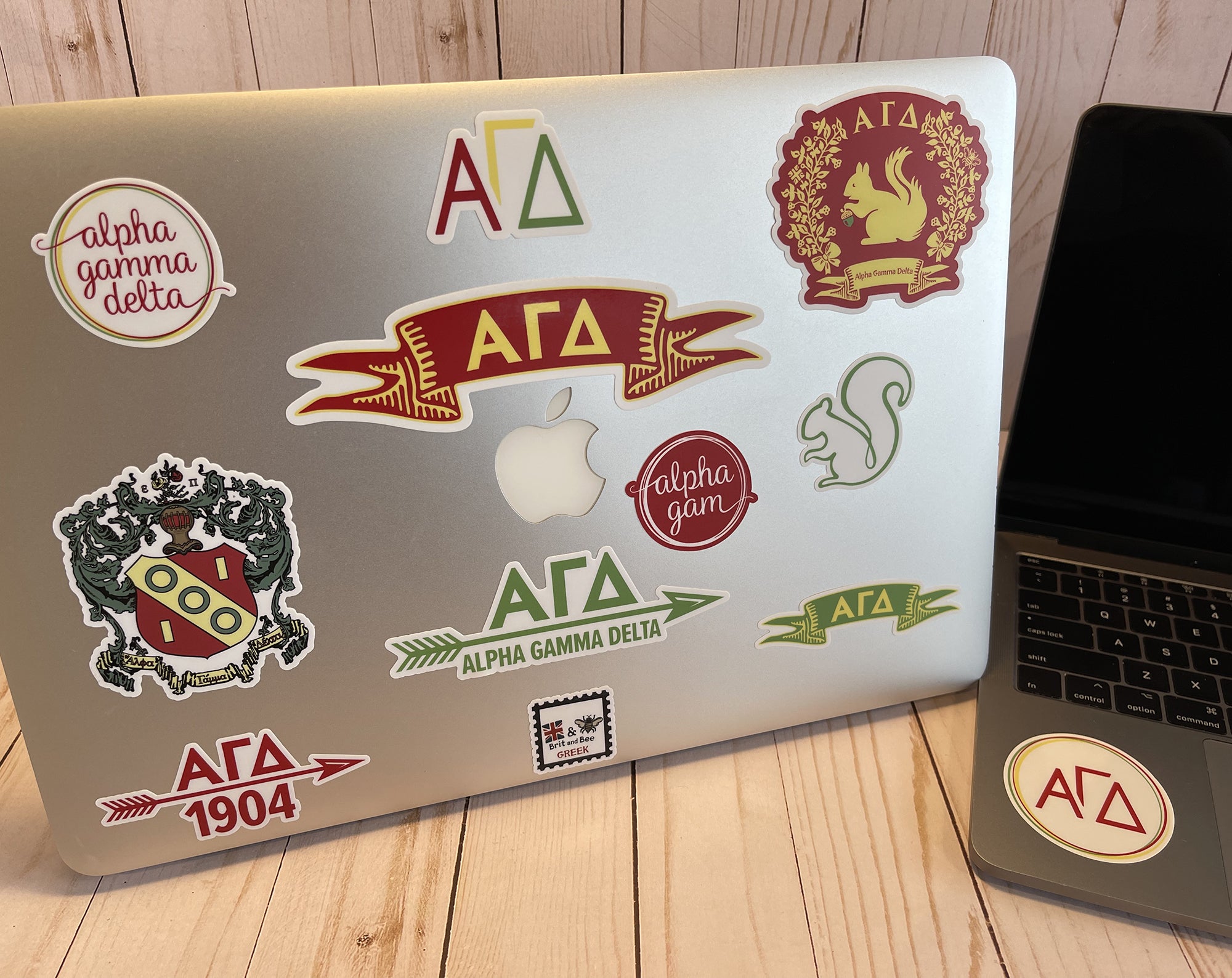 Alpha Gamma Delta Sticker Sheet | Brit and Bee