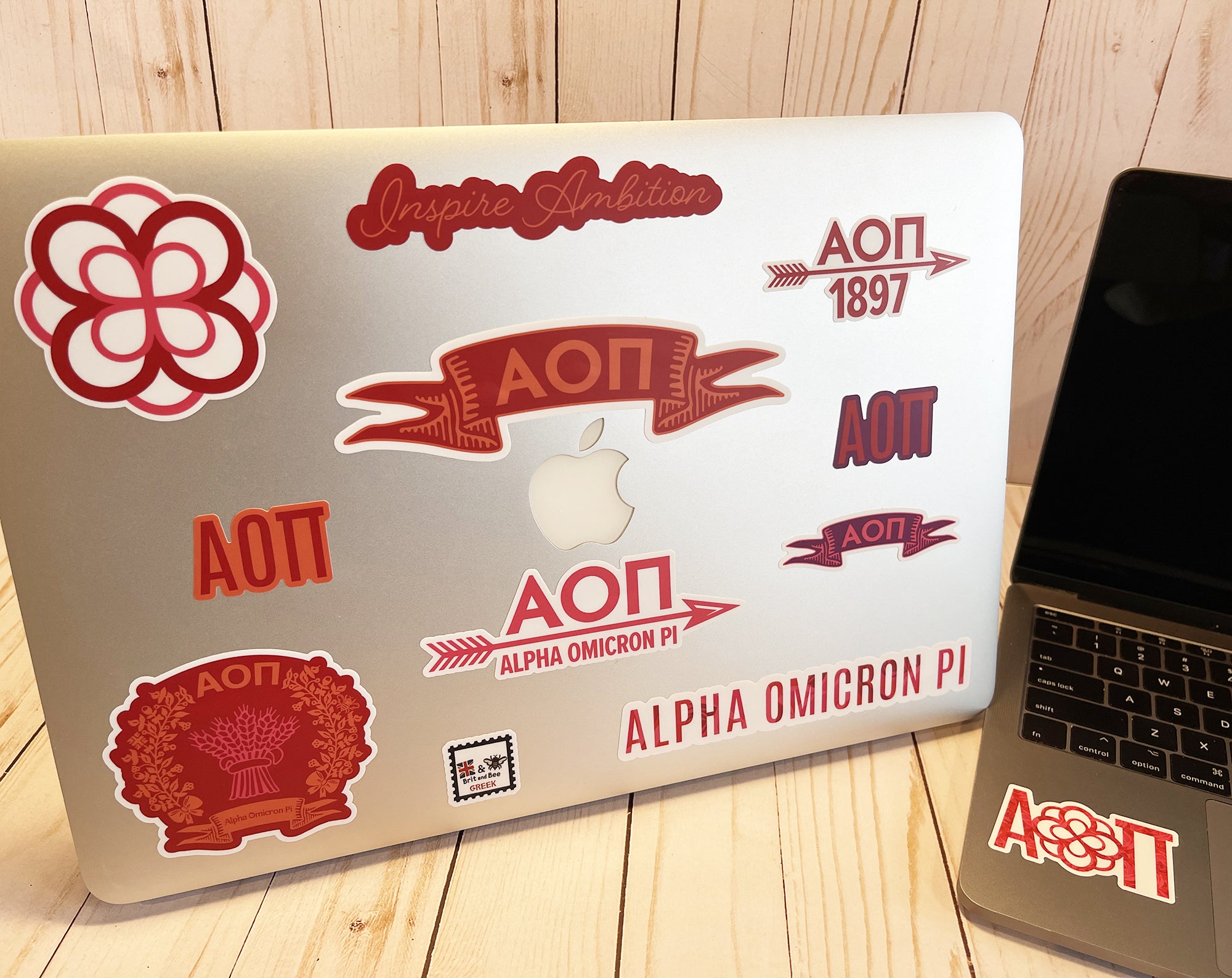 Alpha Omicron Pi Sticker Sheet | Brit and Bee