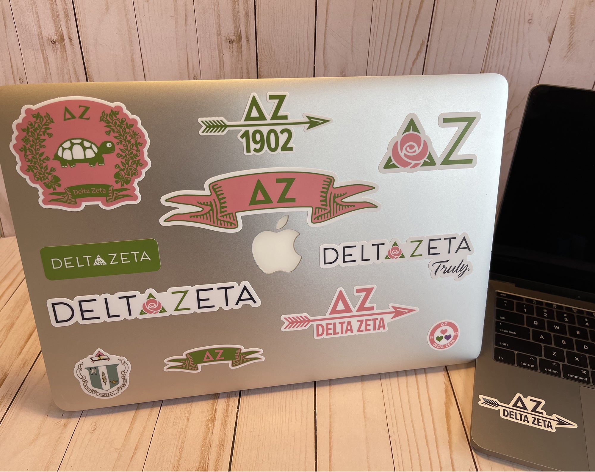 Delta Zeta Sticker Sheet | Brit and Bee