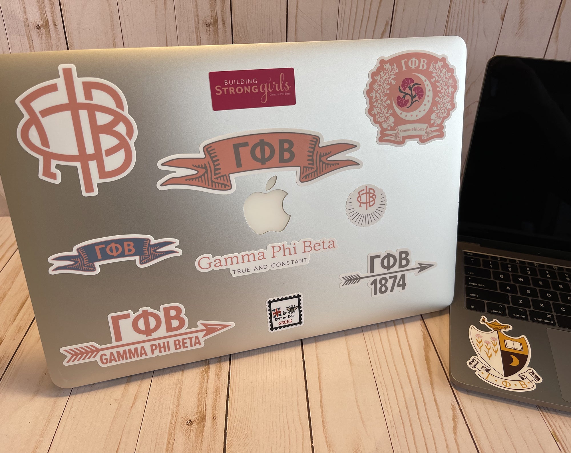 Gamma Phi Beta Sticker Sheet | Brit and Bee
