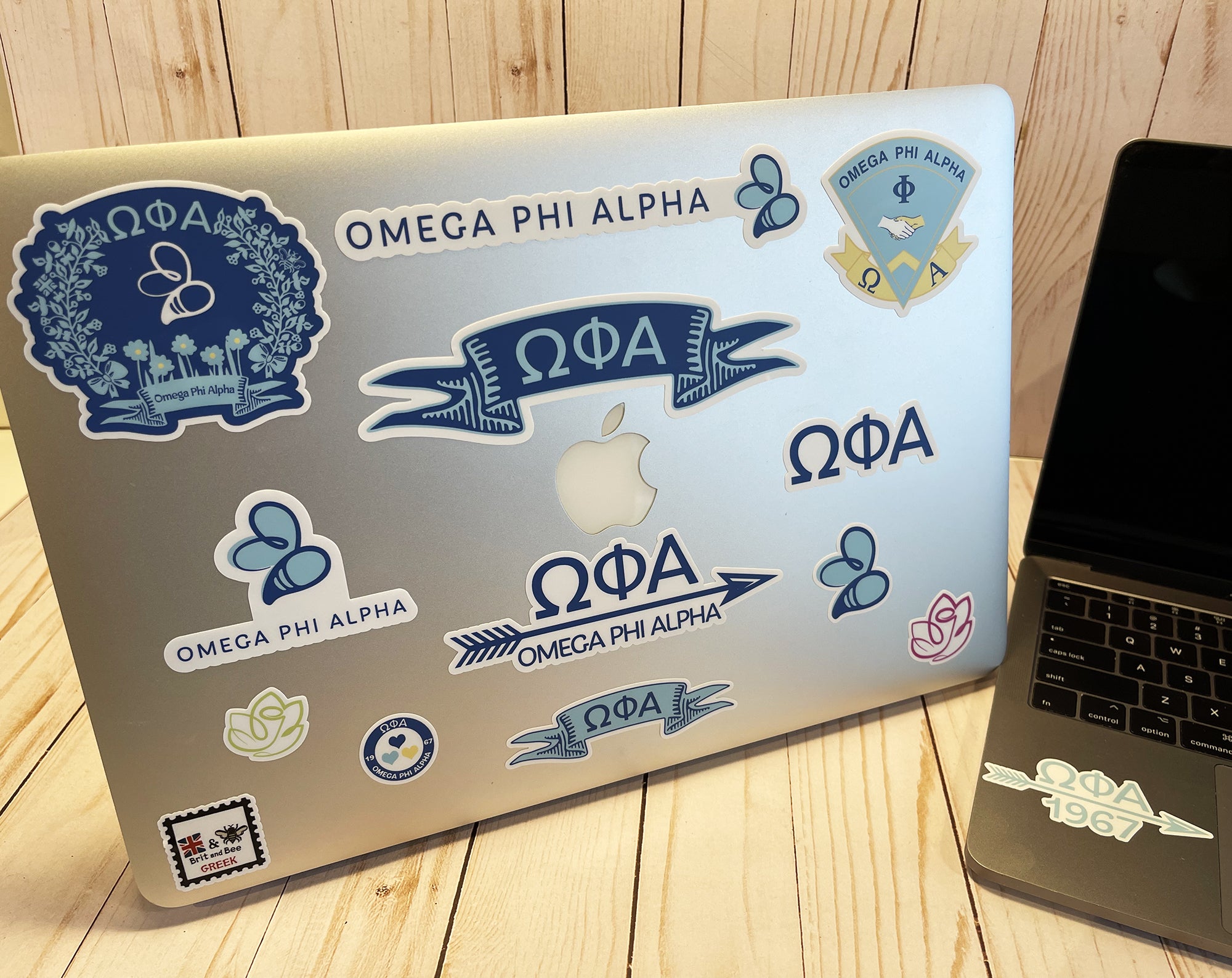 Omega Phi Alpha Sticker Sheet | Brit and Bee