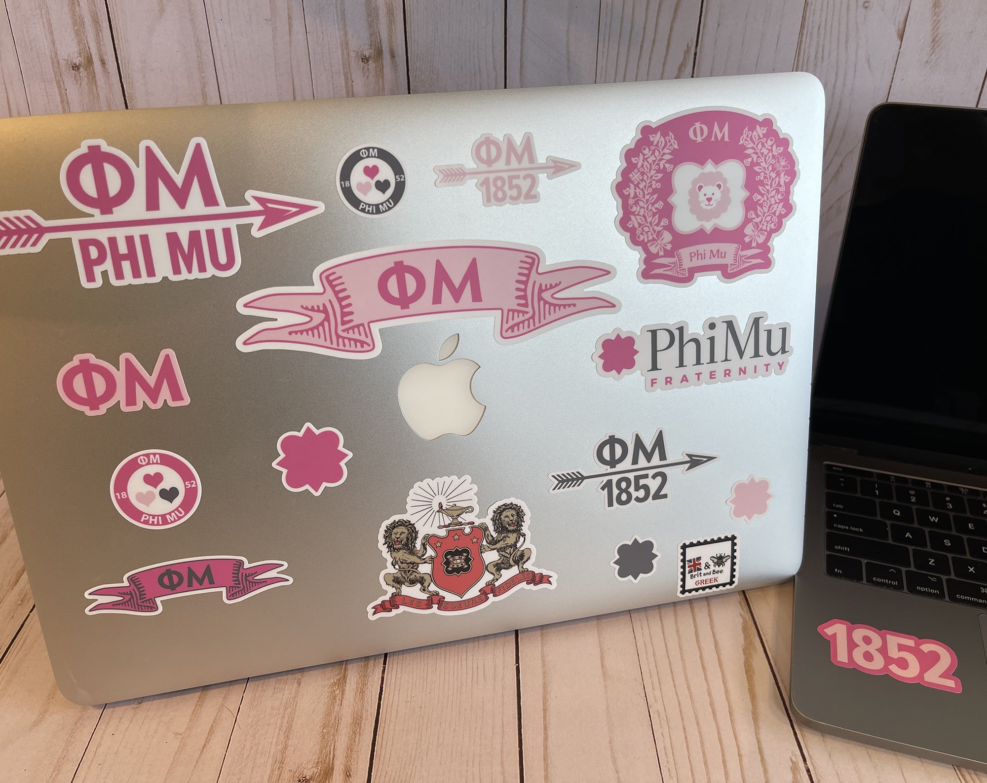 Phi Mu Sticker Sheet | Brit and Bee