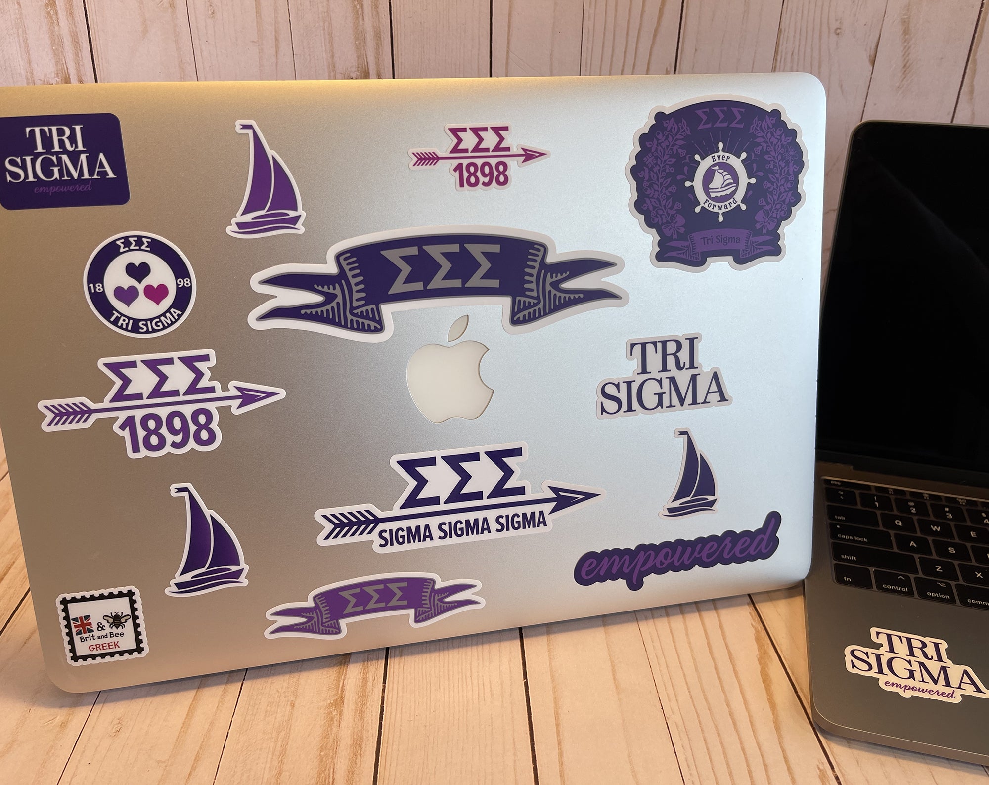Tri Sigma Sticker Sheet | Brit and Bee