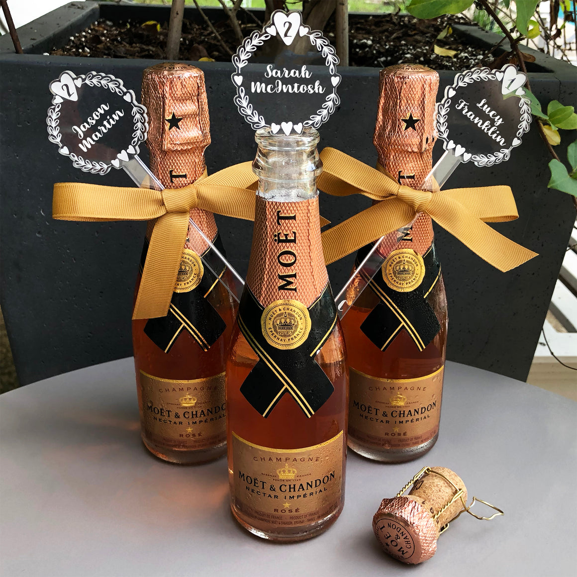 Brit and Bee Geordie Coaster Set