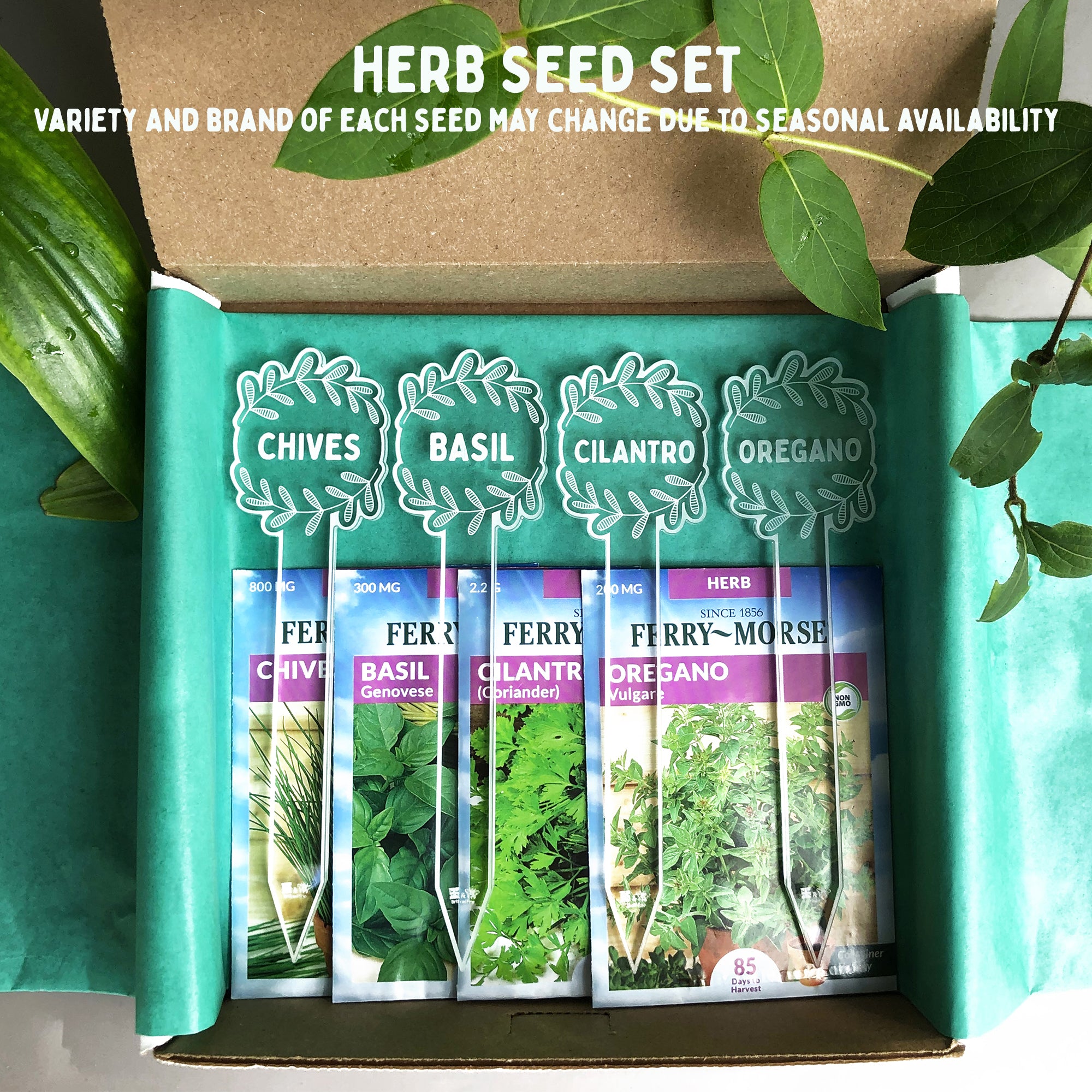 Plant Stakes with Seeds | Brit and Bee